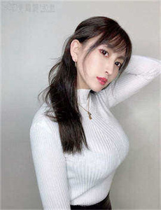 忠奸人 电视剧