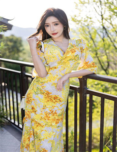 租借女友(日剧)
